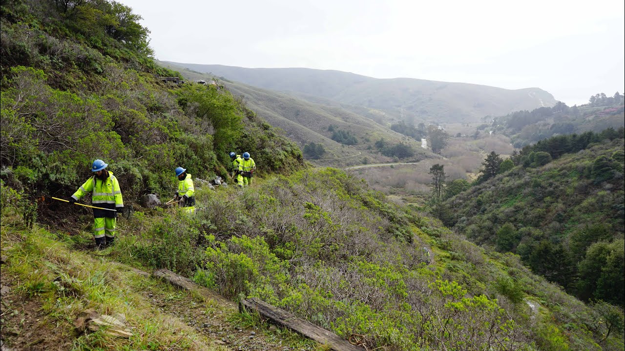 Ukiah Crew Keeps Mt. Tamalpais Trails Clear, Safe