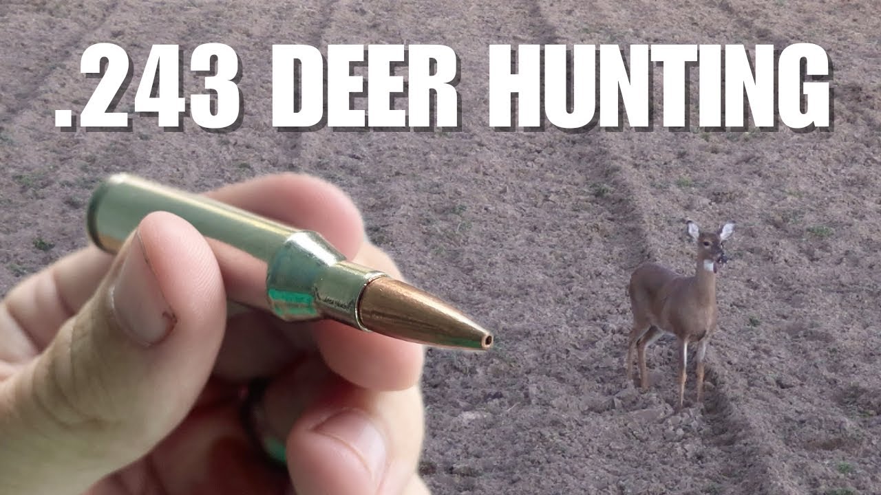 Doe Hunting with Barnes TSX Bullets and Tikka .243