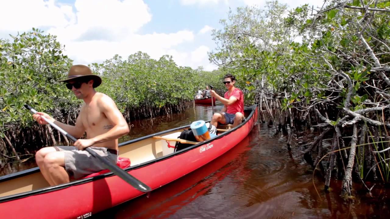 Wild Life: A New Generation of Wild, Part 1