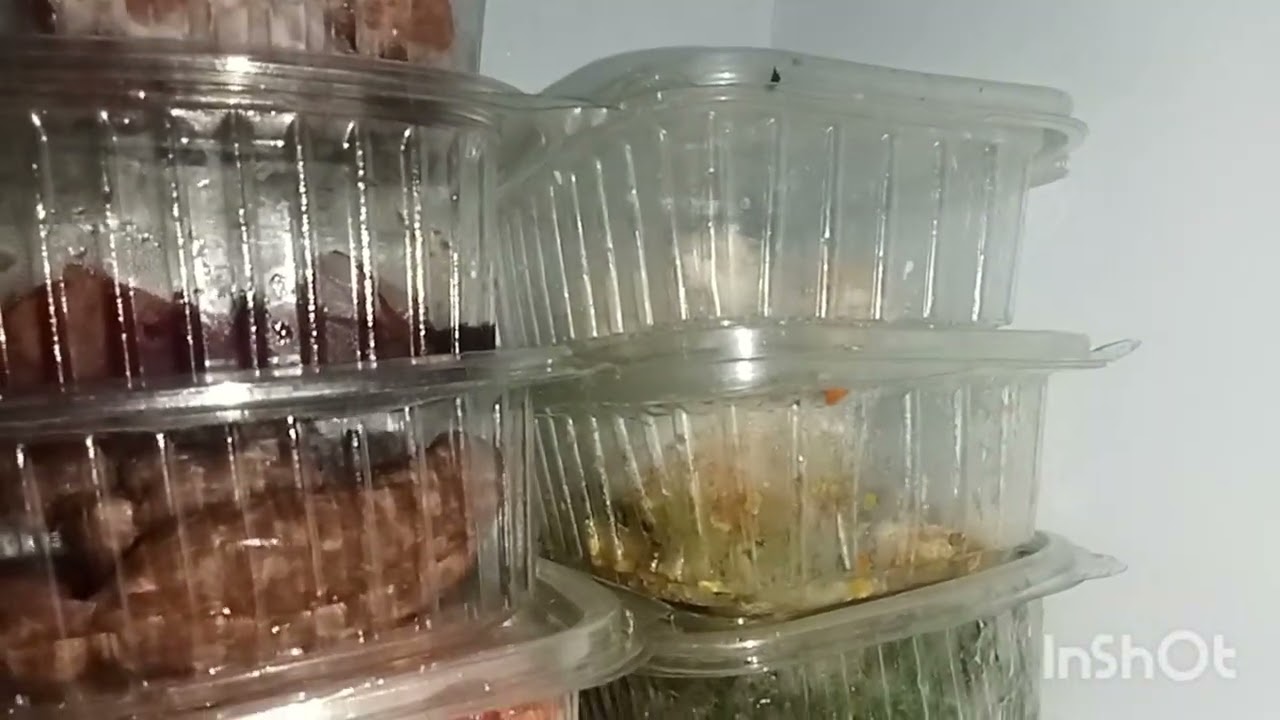 روتين يومي