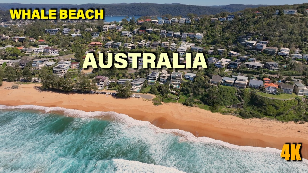 Flying over Whale Beach NSW Australia 4K ultra HD beautiful nature video with relaxing music