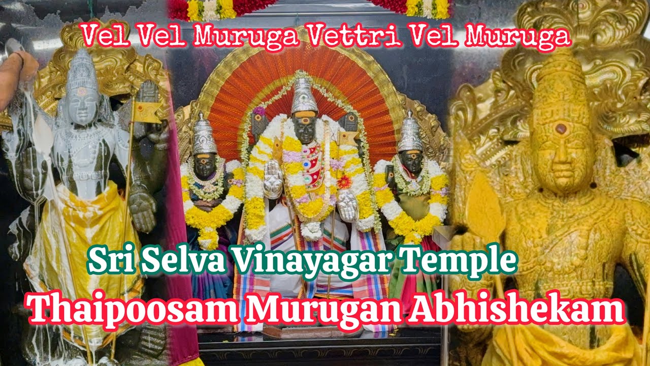 [UK]🇬🇧 Thaipoosam Murugan Abhishekam in London | முருகப் பெருமாள் அபிஷேகம்