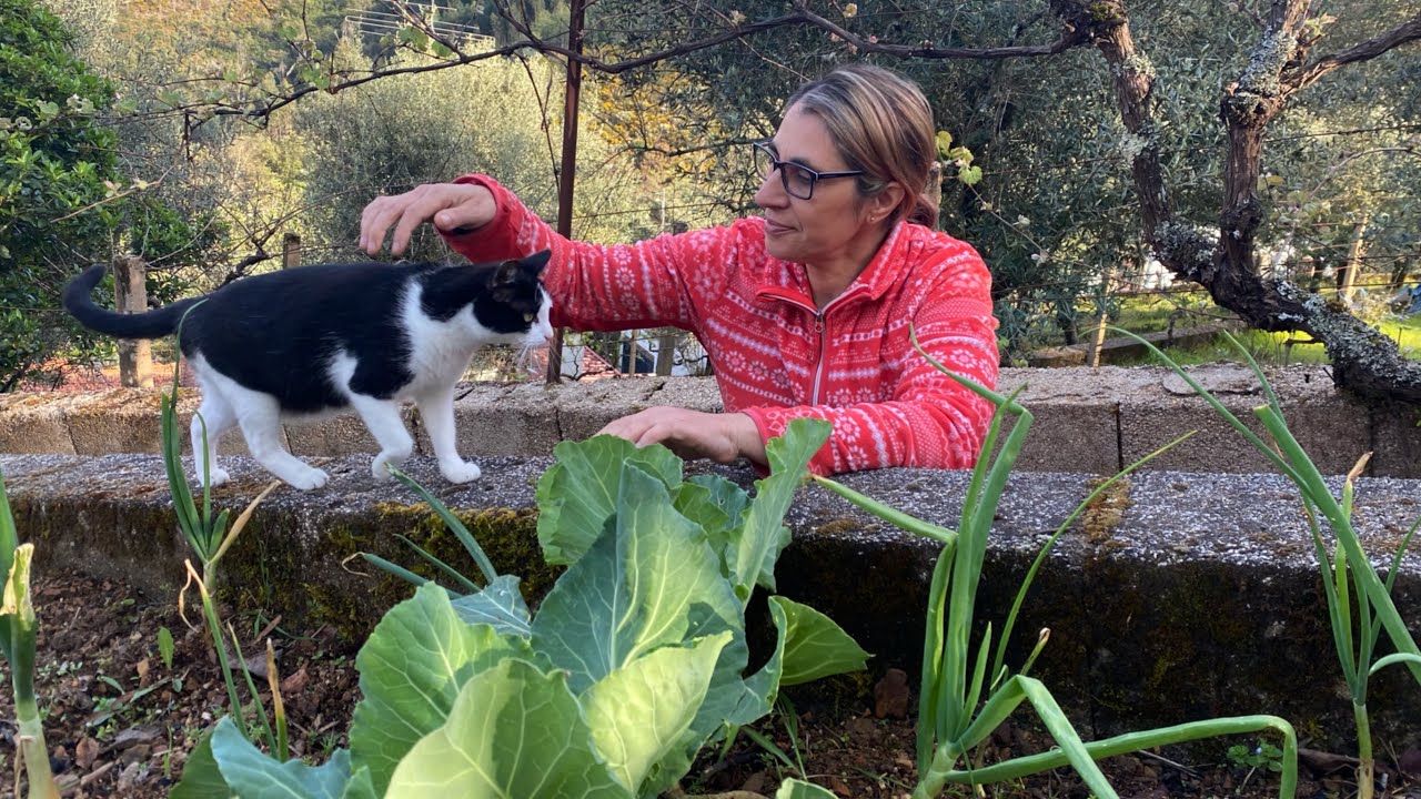 Dias de Primavera na Horta e nos Canteiros | vlog no campo, no interior de Portugal 🌱🌳