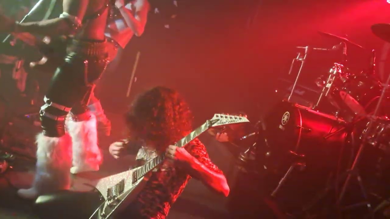 ANIMALIZE rockneat lyon 