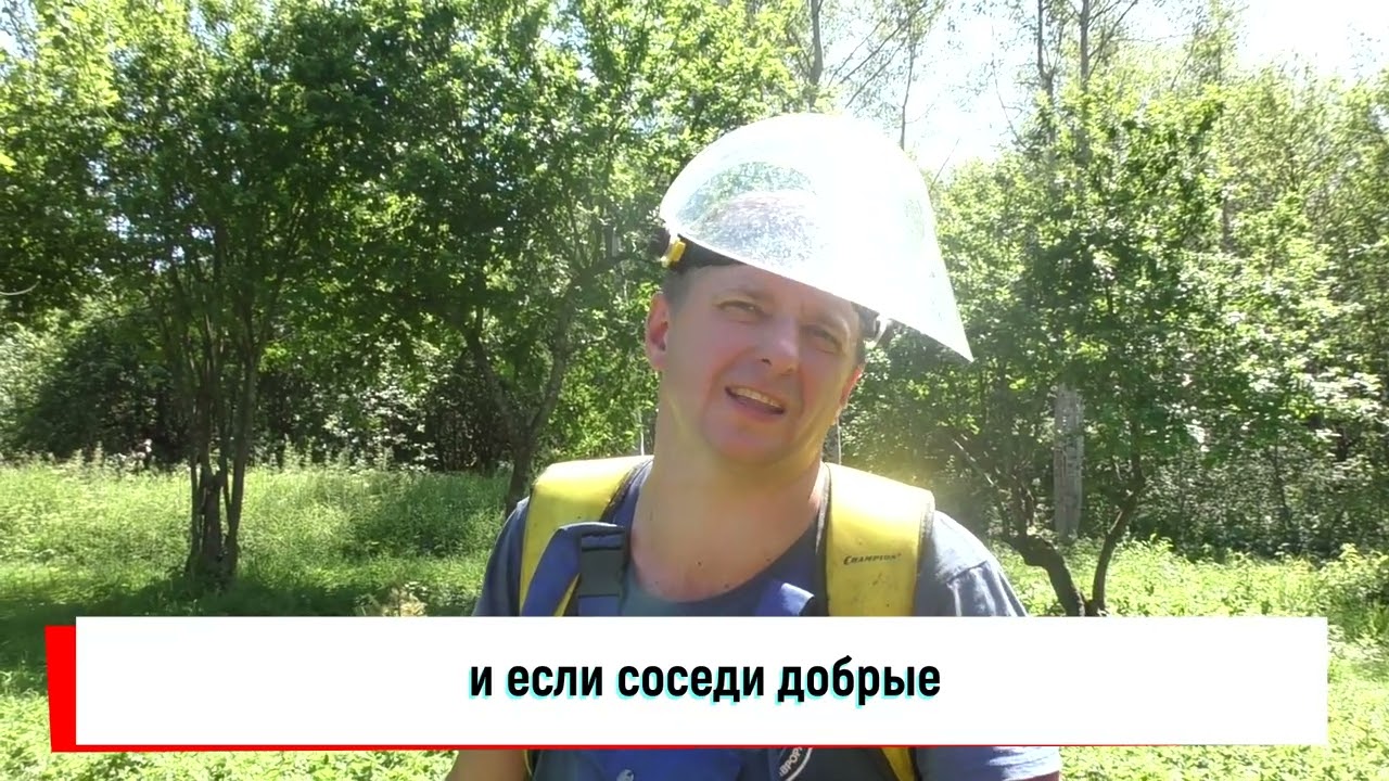 О существенном)) для меня недостатке триммера CHAMPION модель T523-2 или триммере для любых задач