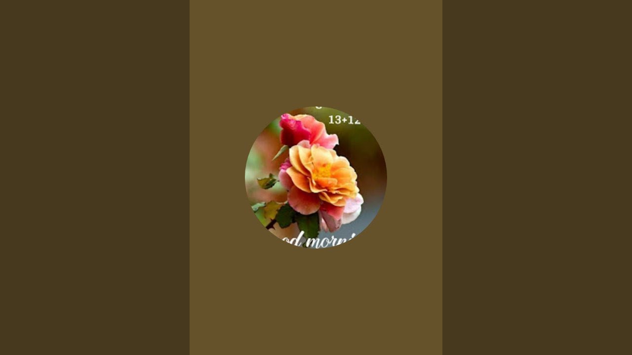 piyush lofi 100 is live stream and return