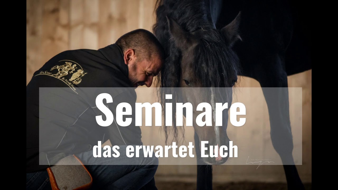 ⚜ Unser Angebot für 2021 ⚜
