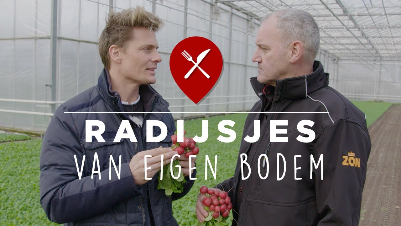 Radijsjes telen bij Ortolanda