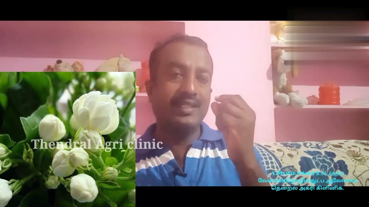 மல்லிகை பூவில் ஏற்படும் மொட்டுப் புழுவைக் கட்டுப்படுத்த விலை குறைவான மிகச் சிறந்த மருந்துகள்,அளவுகள்