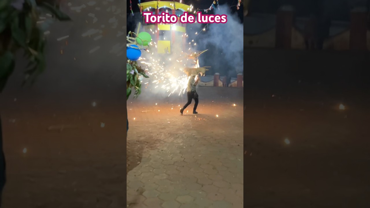 Torito de luces #comparsa #calenda #viral #tradiciones #viral #baile #pirotecnia