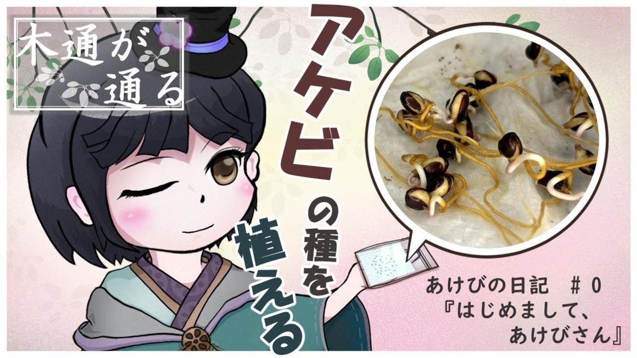 【あけびの日記#0】『はじめまして、あけびさん』