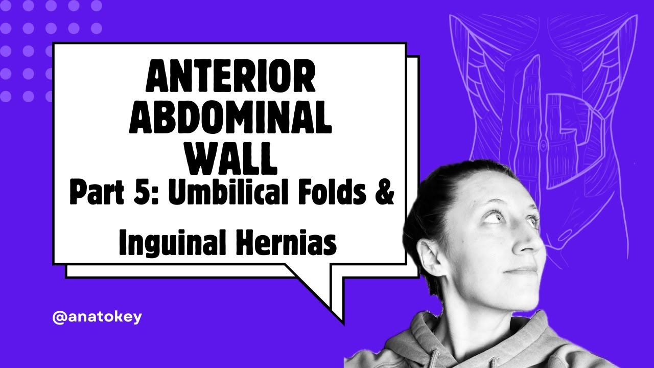 Anterior Abdominal Wall: PART 5: Umbilical Folds & Inguinal Hernias
