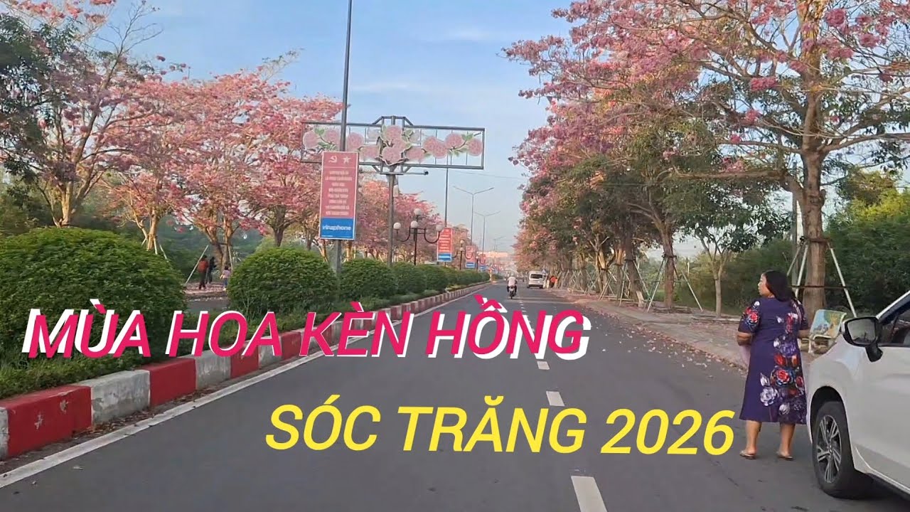 TRỞ LẠI ĐƯỜNG HOA KÈN HỒNG...Năm 2026