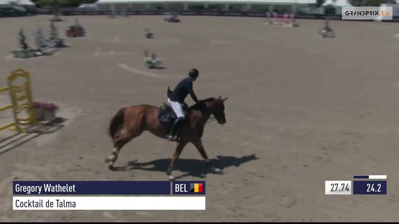 Cocktail de Talma - Winner 2*GP Jumping du Golfe de St Tropez