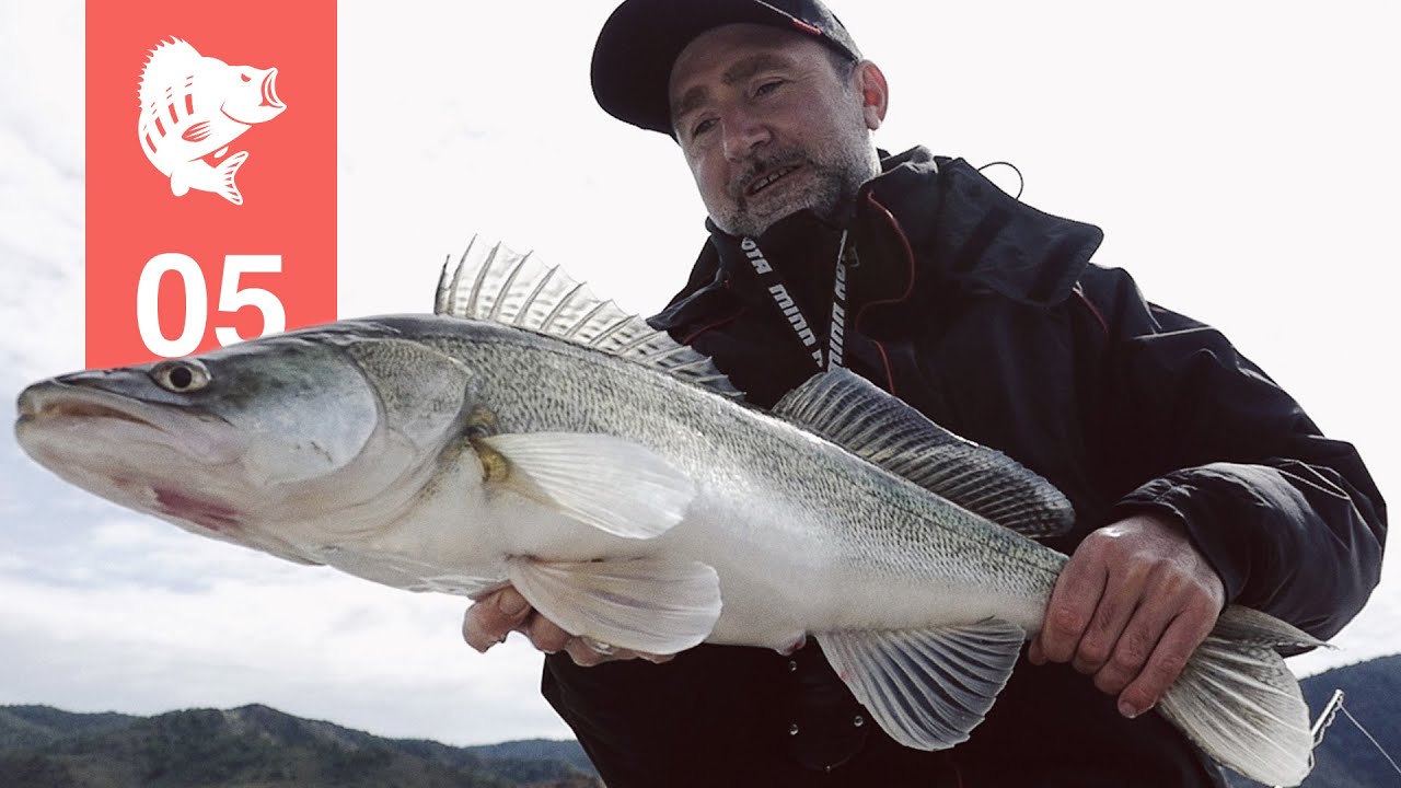 BATV-goes-Spain (1) | Finesse-Angeln auf Barsch und Zander