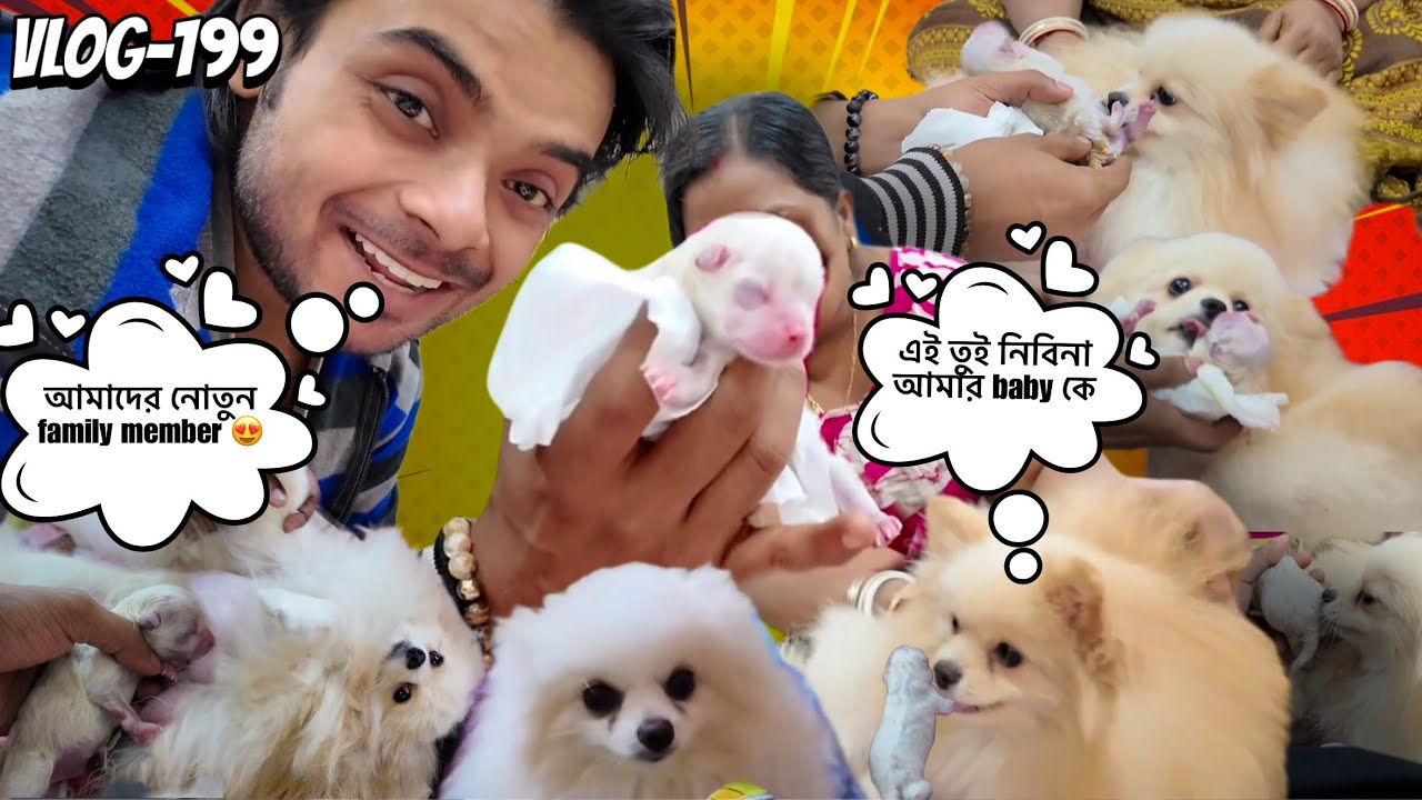 বাড়িতে আজ নতুন সদস্য এলো 🥰 🤗 (Vlog-199)
