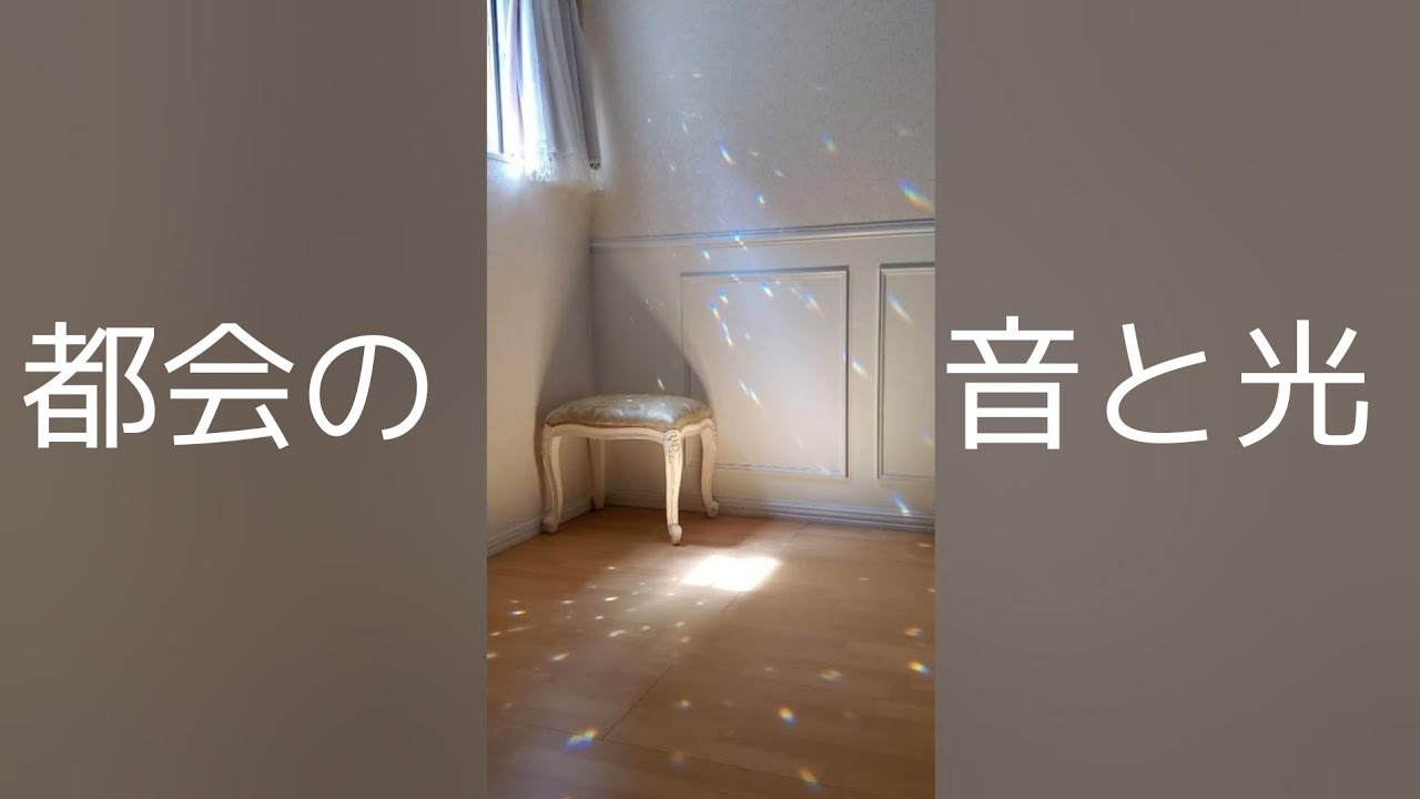 都会の中のやさしい時間 🌸 音と光の瞑想 🌸 20分【音と映像のみ】