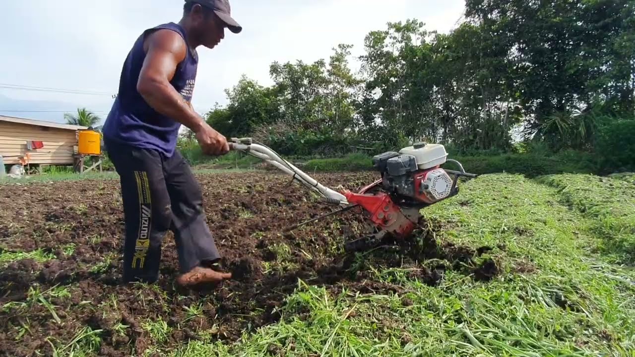 ALAT PENGGANTI  CANGKUL SANGAT MEMBANTU SEKALI MERINGANKAN PEKERJAAN 