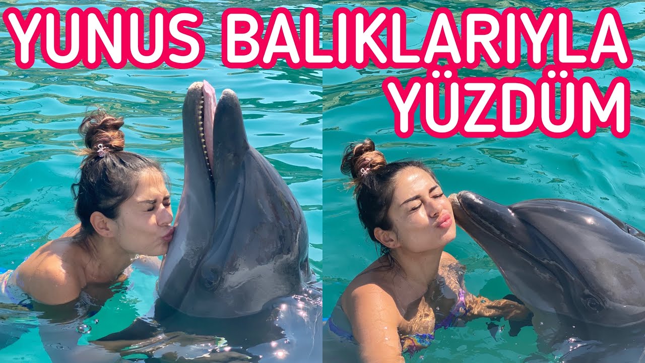 YUNUS BALIKLARIYLA YÜZDÜM ( TİKTOK ÇEKTİM ) w/@Yakari7​ #dolphinland