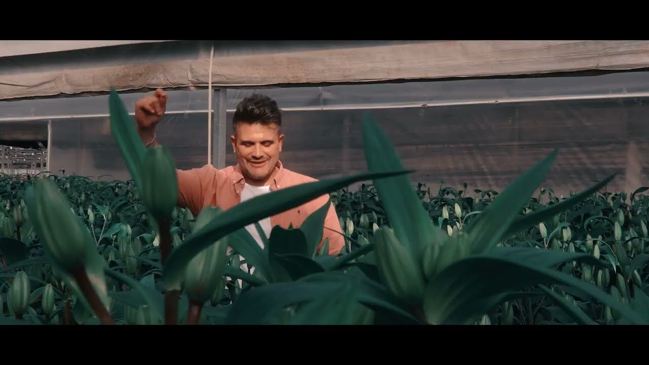 Fran Ocaña - Una Docena de Flores (Videoclip Oficial)