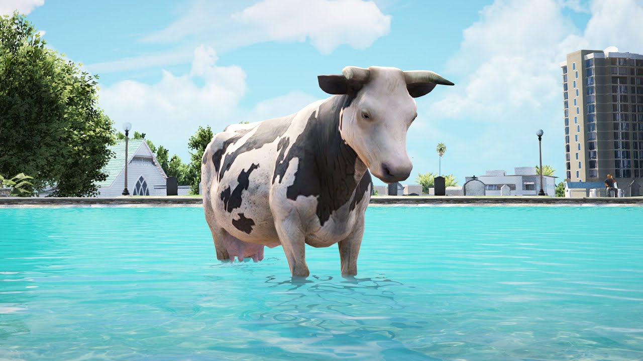 Lost Cow Looking for her Farm