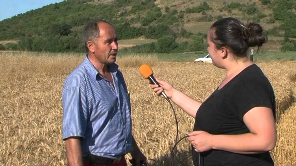Kronikë - Korrje - shirjet në fshatin Skifteraj