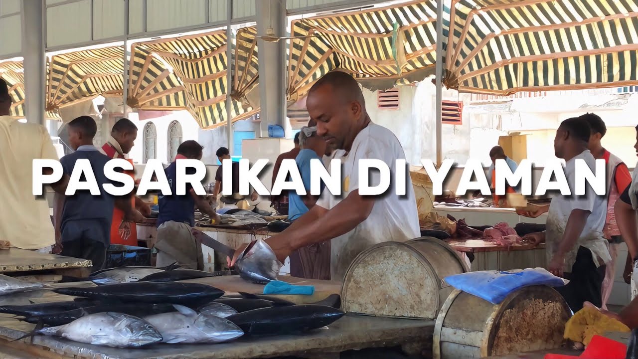 Ikannya Murah Bangett !! | Pasar Ikan Mukalla Yaman.