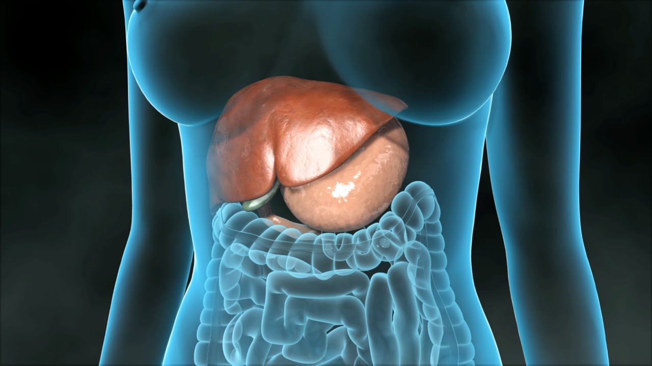 Colecistectomia (Remoção da Vesícula Biliar)