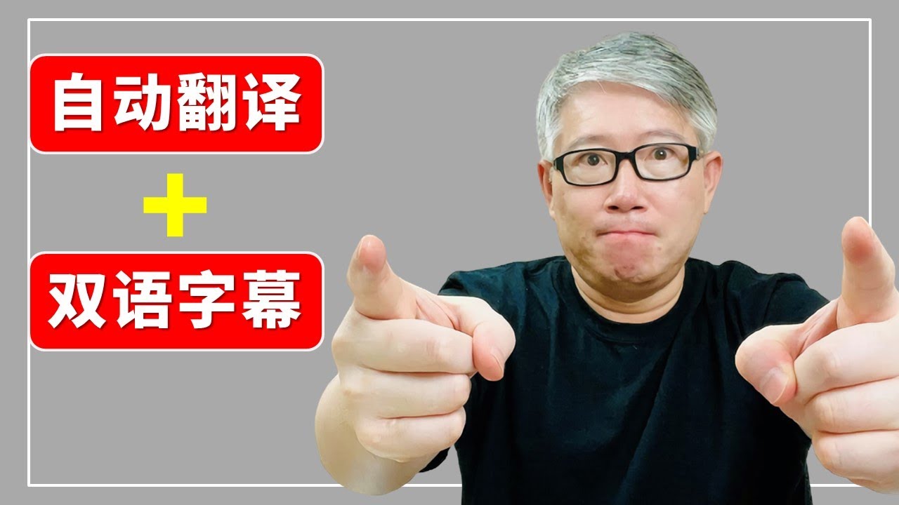 【字幕工具】自动翻译并生成双语字幕，一款强大的 Chrome 插件让你从此轻松看懂外语片。Language Learning with Netflix & YouTube 介绍。【有字幕】