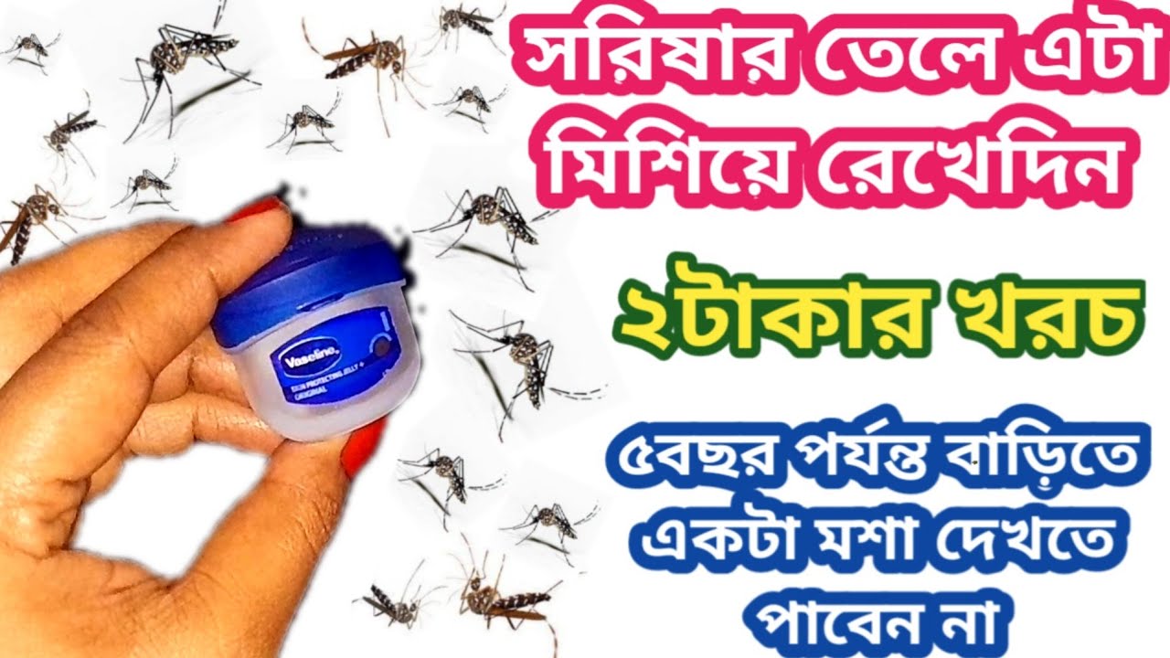 না কয়েল ❌ না স্প্রে ❌ মশা তাড়ানোর একদম সহজ ও ঘরোয়া পদ্ধতি 🔥 Mosquito Repellent at Home 
