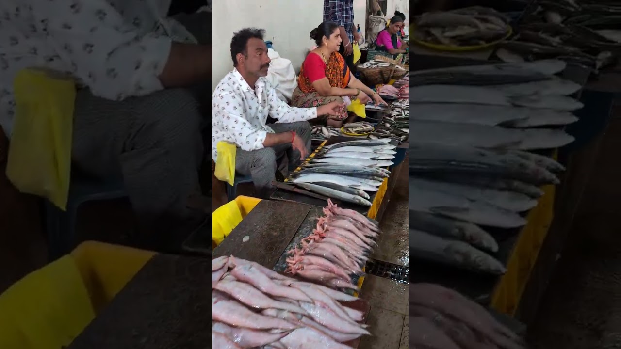 Fresh Fish Market in Goa: A Must-Visit for Seafood Lovers