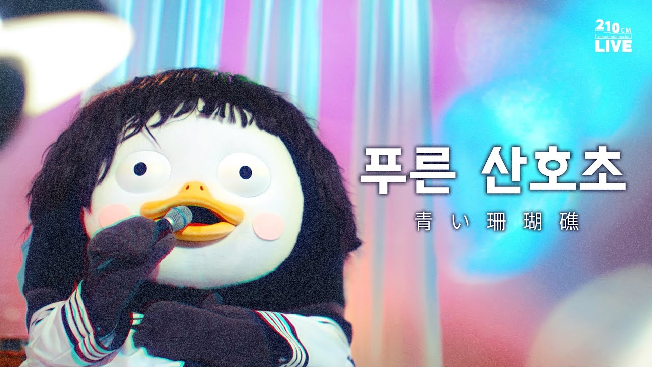 [210cm 라이브] 팜하니를 잇는 펭하니가 부릅니다 🎤 마츠다 세이코의 푸른산호초 🪸