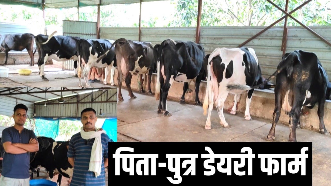सेना से रिटायर होने के बाद शुरू किया Dairy Farm | Dairy Farming In Bihar