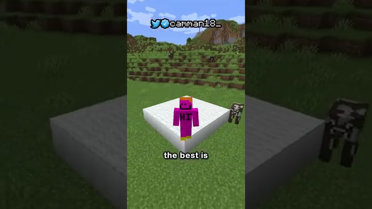 the secret use of carpets