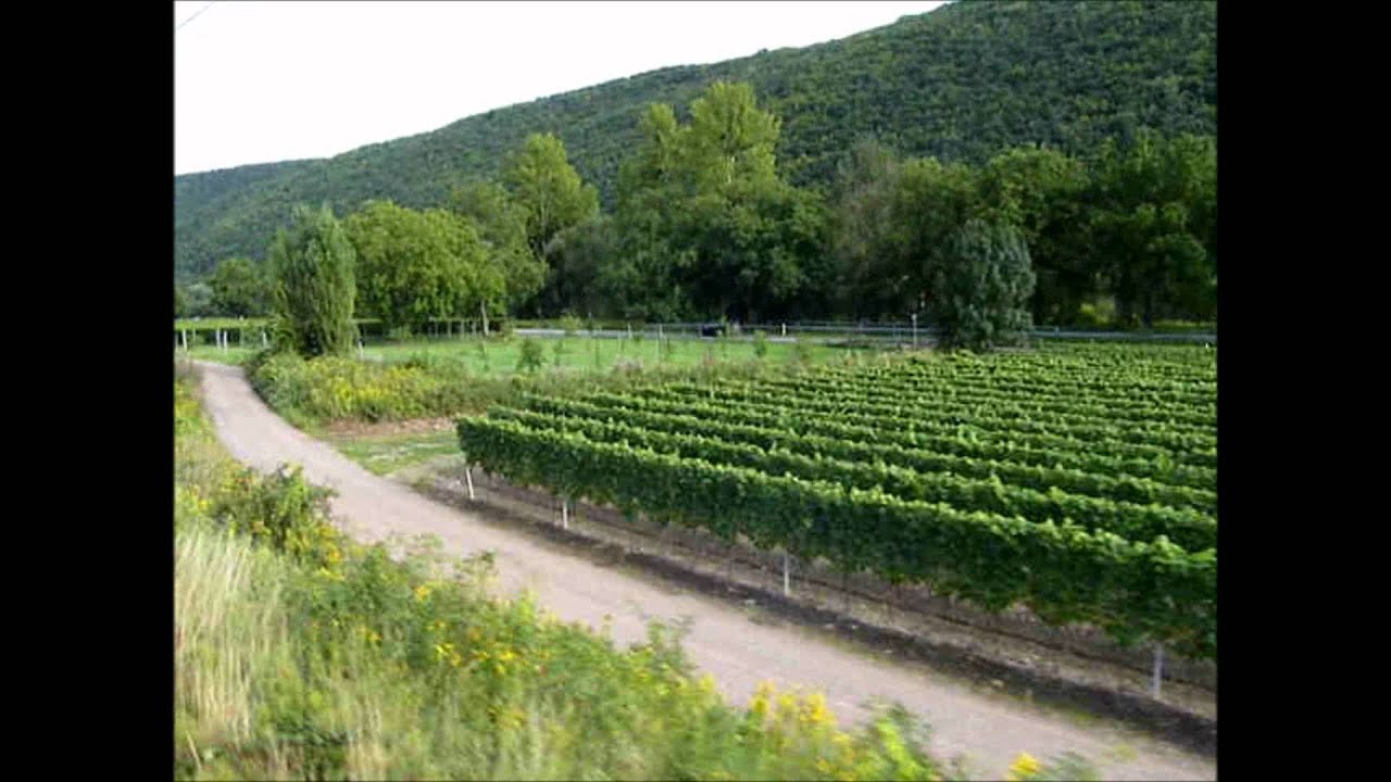 2 - Train - Zug - Trein; Klotten - Pommern.wmv