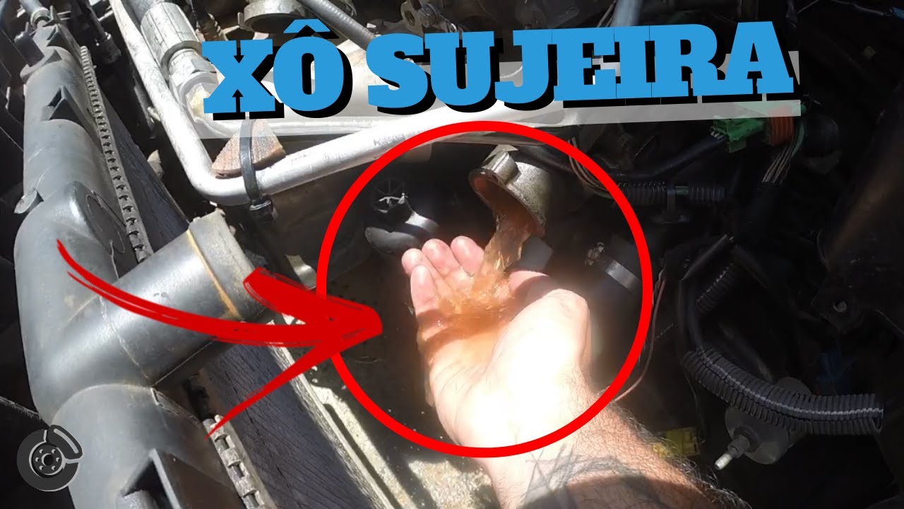 Aprenda a LIMPAR o Arrefecimento do Peugeot 206 em Casa 🏠