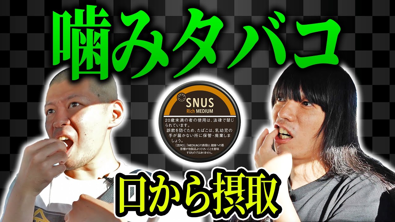 【無煙】金属バット 噛みタバコを愉しむ【野球部の靴下】