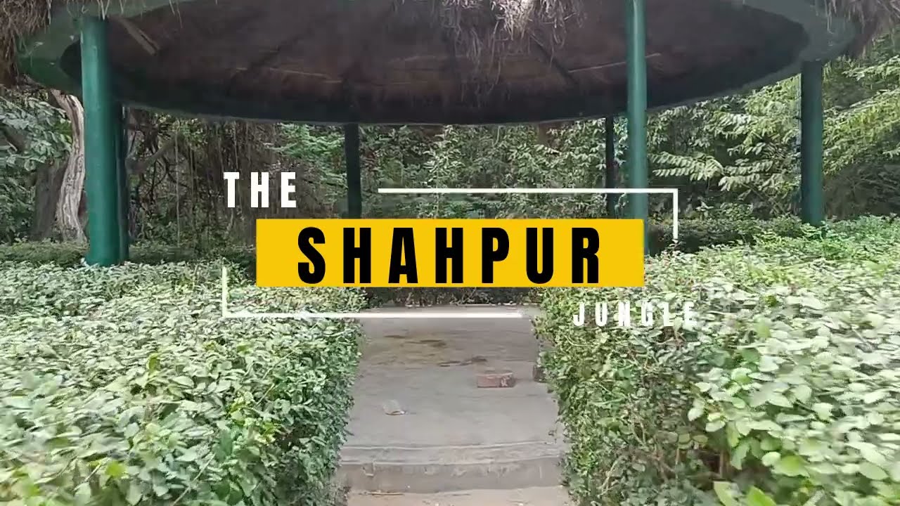 Visit to Shahpur Jungle from Lambhua, Sultanpur
