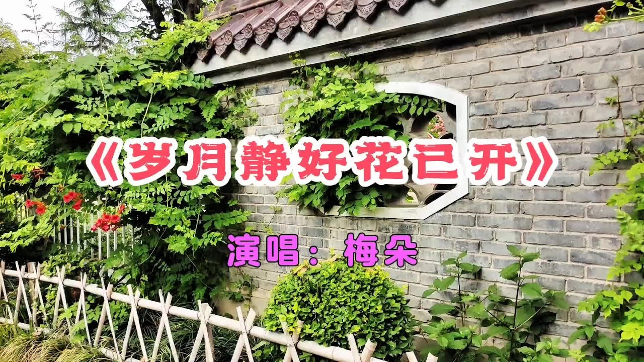 《岁月静好花己开》旋律悠扬动听，让人沉醉其中无法自拔。#随拍身边的美好 #花开富贵好运来 #纪录美好生活 #音画欣赏