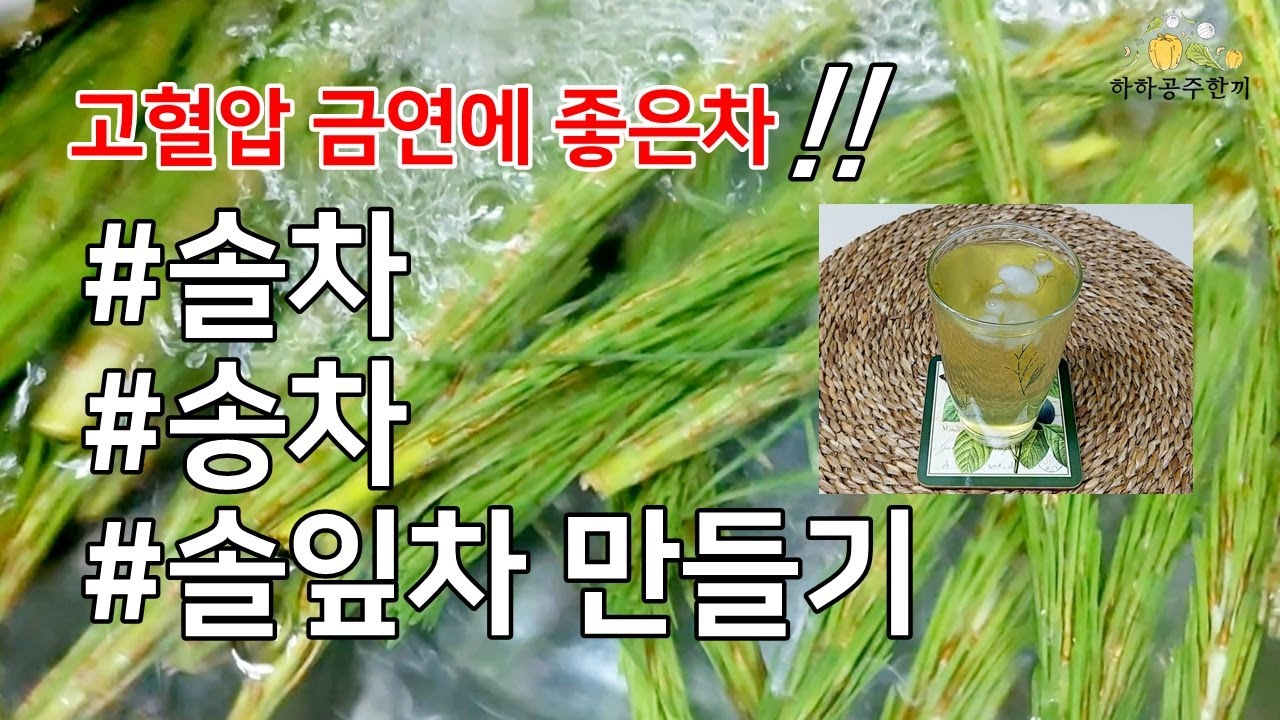 금연에 좋은차! 고혈압에 좋은차! 솔잎차 솔순차 송차 만드는법 #솔잎차만들기 #솔잎먹는방법 #솔잎효소담그는법