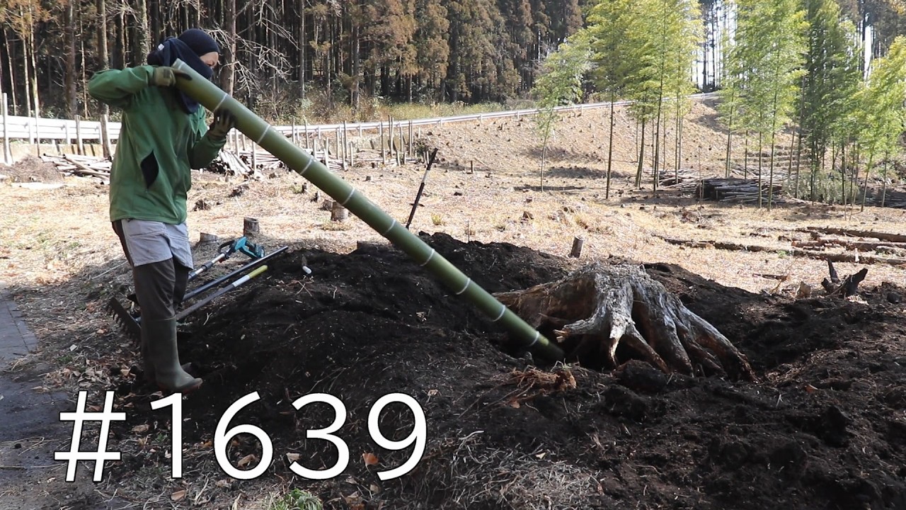 まとめ｜鉄くず集めから杉の切り株抜きまで超倍速で一気見！夏の畑づくりに向けて整地が進む