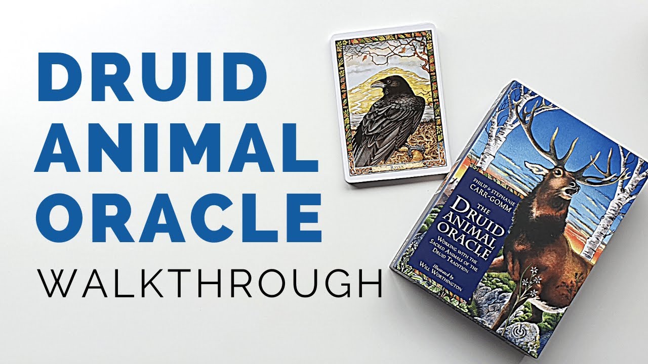 Druid Animal Oracle Deck Walkthrough & Unboxing ❤️ | First Impressions & Intuitive Insights