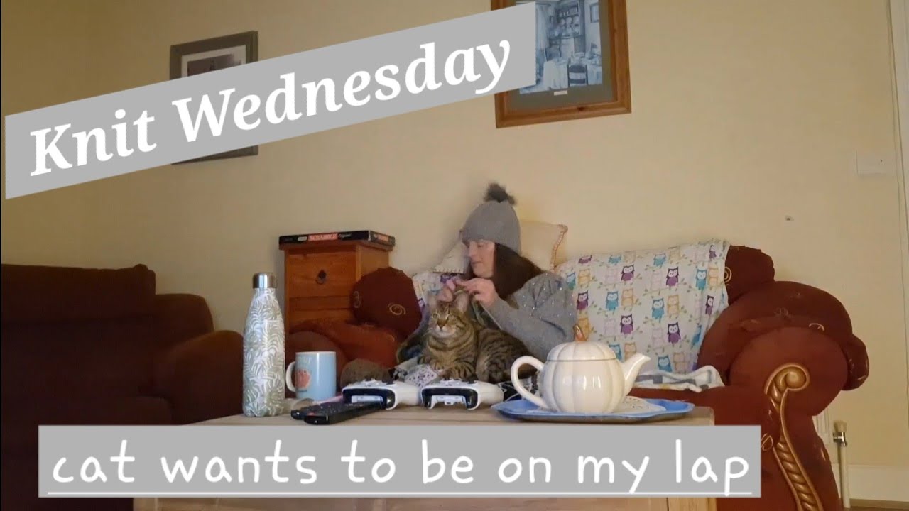 Knit Wednesday, the cat just want to be on my lap!