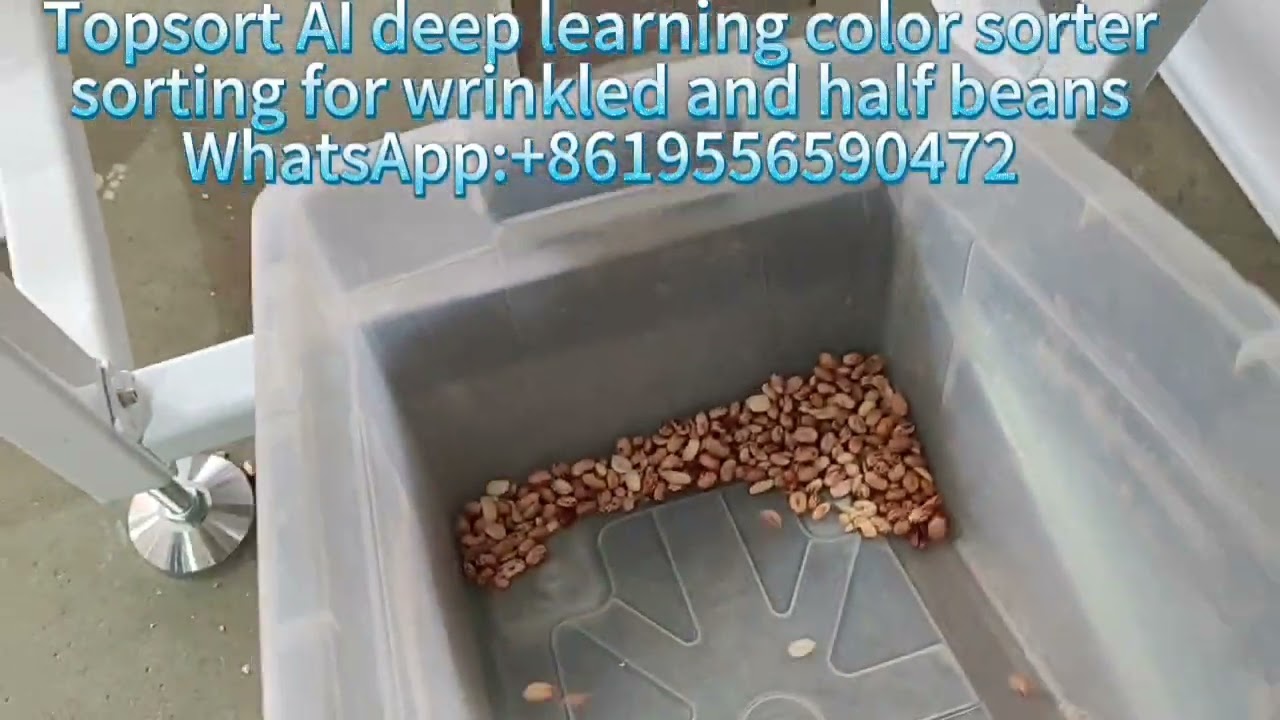 TOPSORT AI deep learning color sorter sorting for wrinkled and half beans