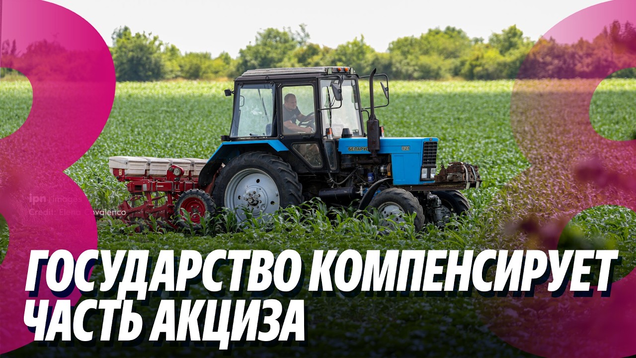 Новости: Государство компенсирует часть акциза /Коррупция в таможенной службе /11.03.2026