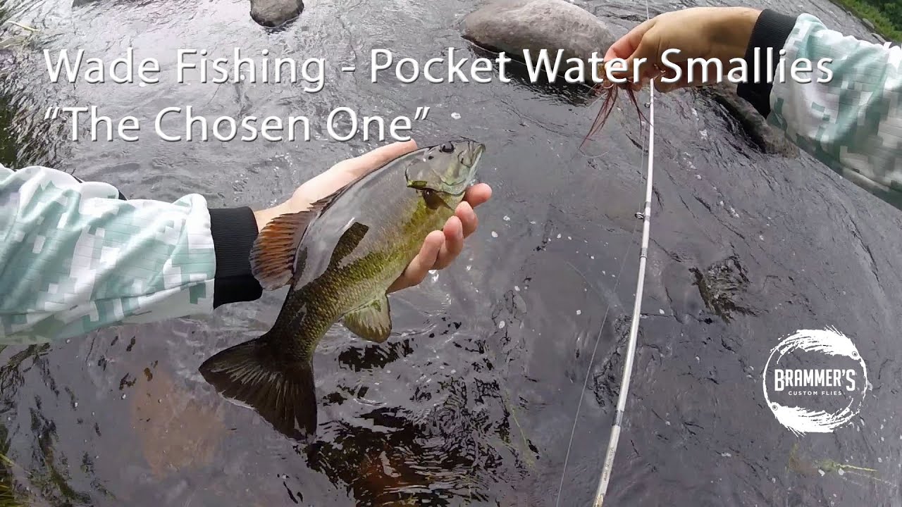 Fly Fishing: Wade Fishing, Pocket Water Smallies on 