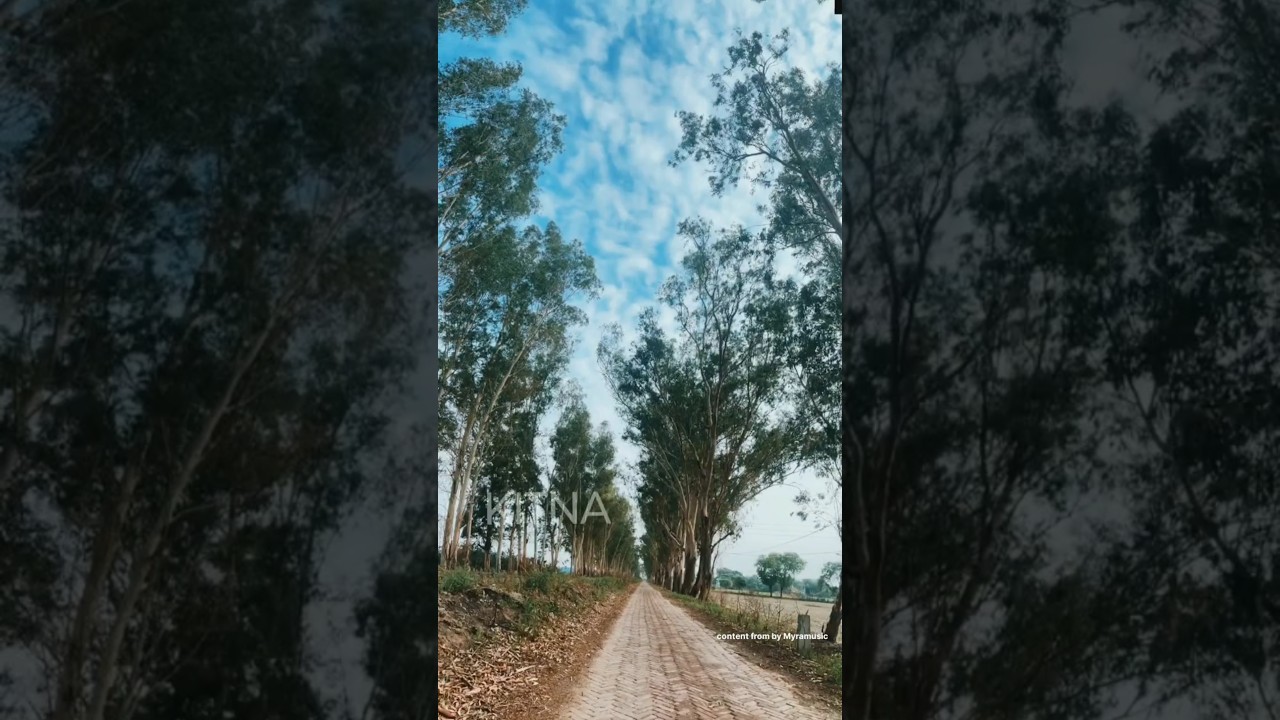 beautiful nature #myramusic #shortvideo #lovesong 🌍