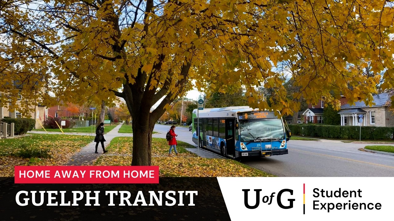 Home Away from Home: Guelph Transit