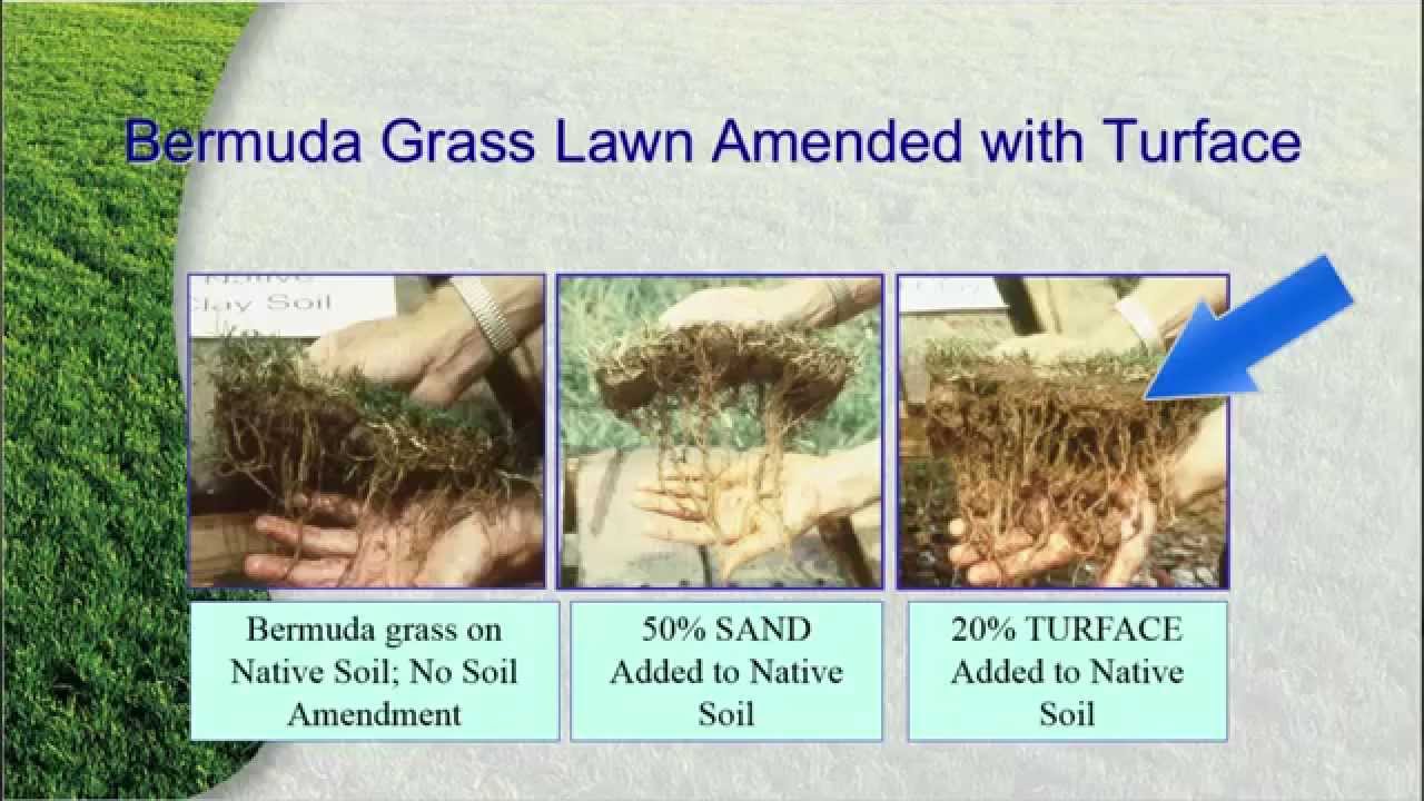 Building a Better Soil Structure with Turface