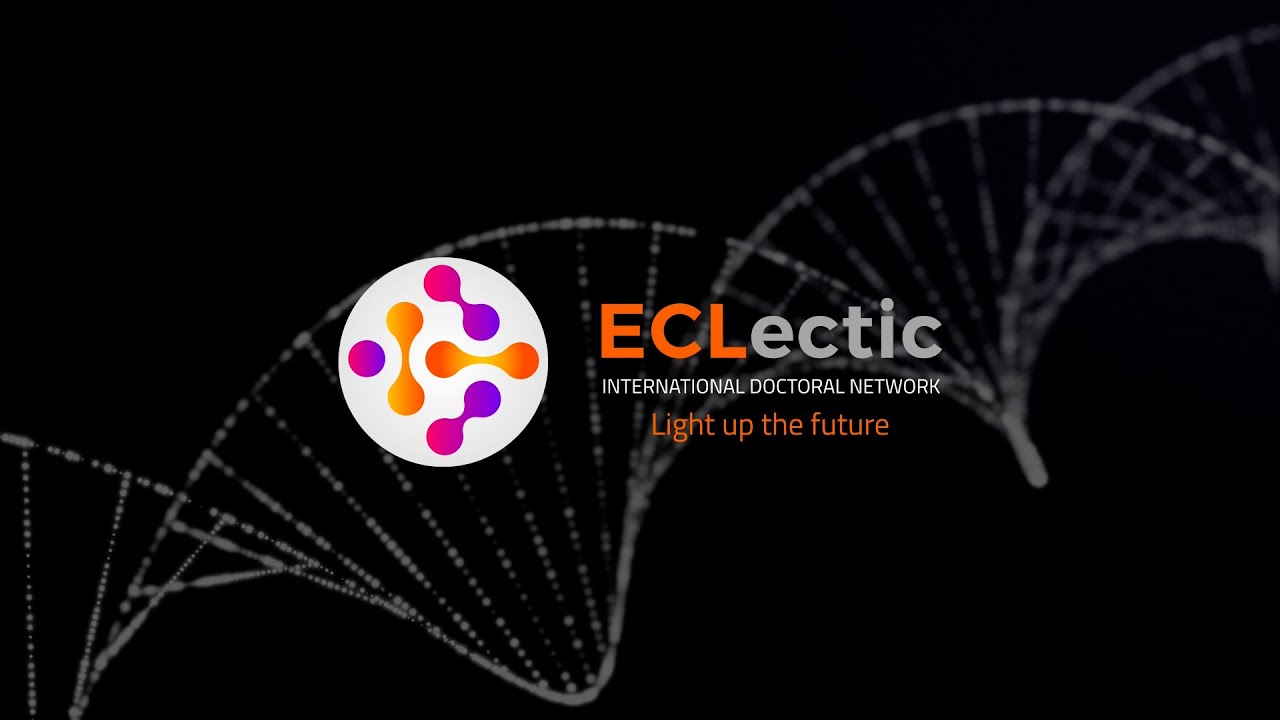 ECLectic MSCA doctoral network meeting at BCMaterials (Leioa- Bilbao. April, 1-4. 2025)